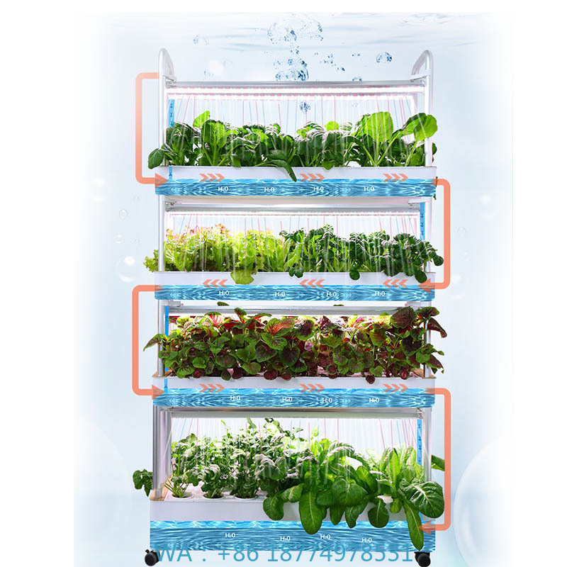 ydroponic Planting System Smar – Diy Automation recenzja i cena