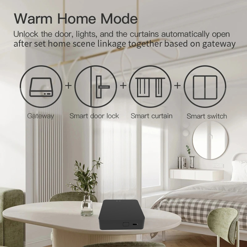 Work with Tuya Smart Zigbee+ B – Diy Home Automation Hub recenzja i cena