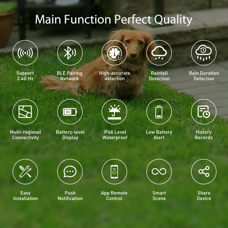 WiFi Rain Sensor Rainfall Dura – Home Automation Ideas recenzja i cena