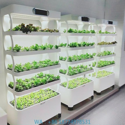 Hydroponic Automated Grow Syst – Diy Automation recenzja i cena