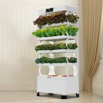 Hydroponic Automated Grow Syst – Diy Automation recenzja i cena